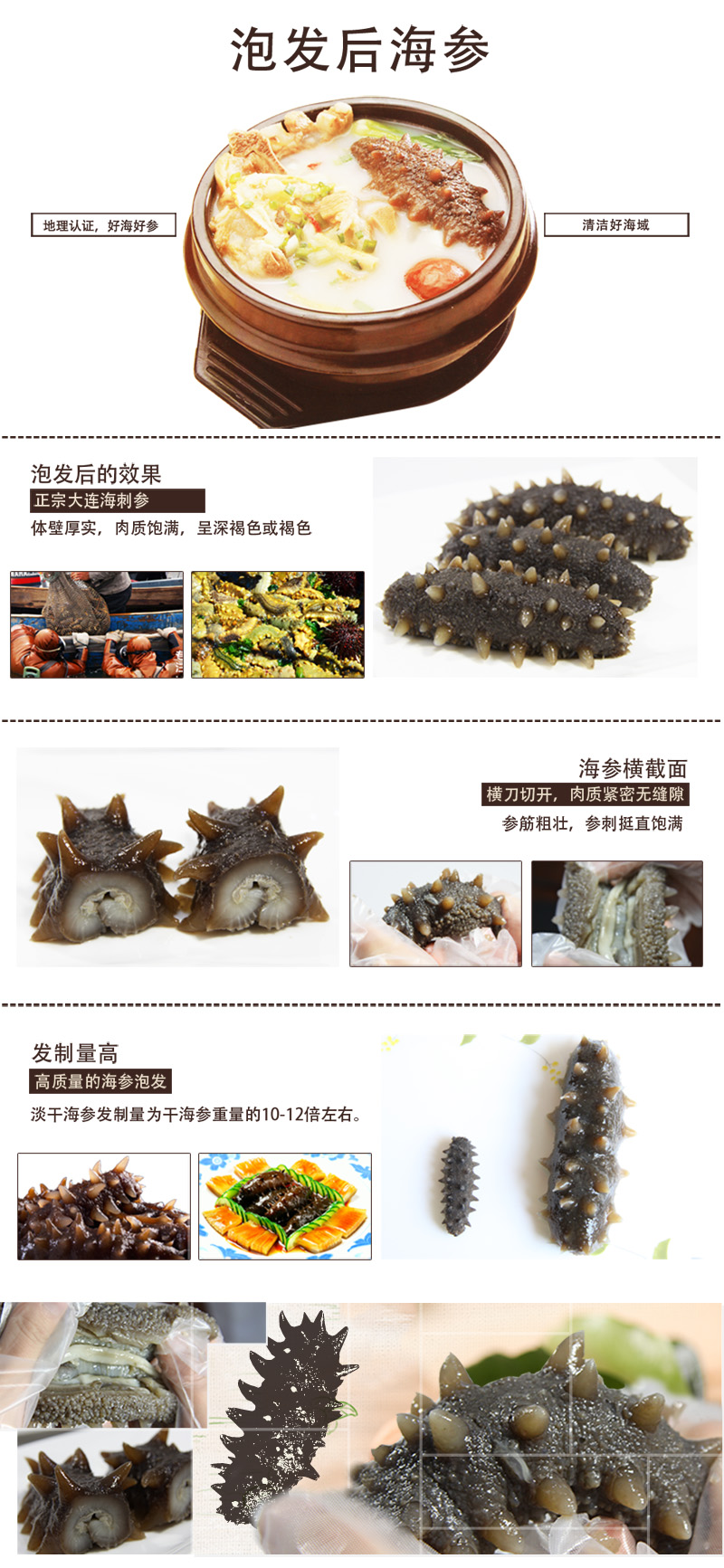 海參,干海參,大連海參,曉芹海參,海參品牌,遼刺參,海鮮水產 海參,干海參,大連海參,曉芹海參,海參品牌,遼刺參,海鮮水產