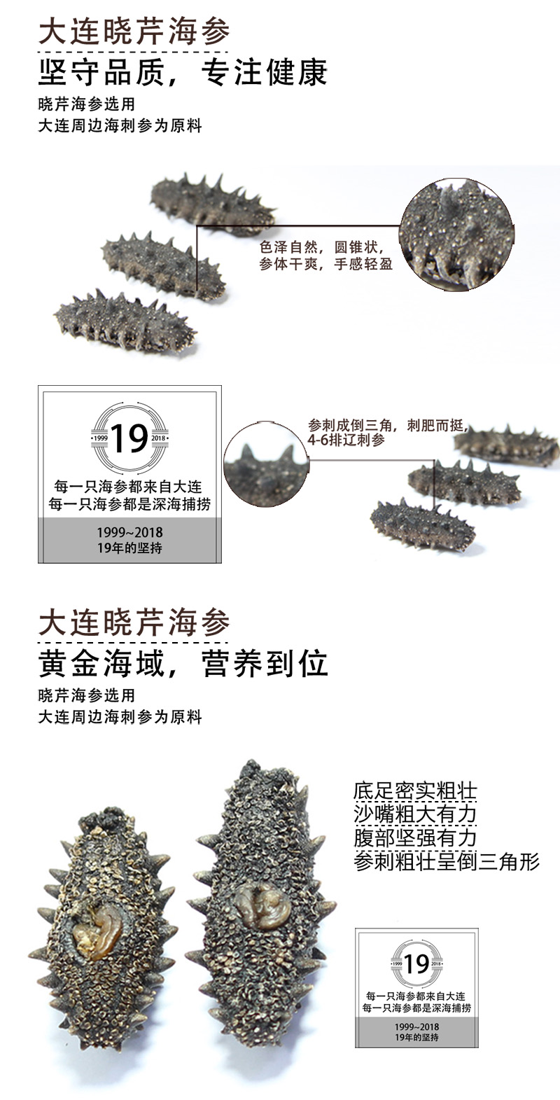 海參,干海參,大連海參,曉芹海參,海參品牌,遼刺參,海鮮水產 海參,干海參,大連海參,曉芹海參,海參品牌,遼刺參,海鮮水產